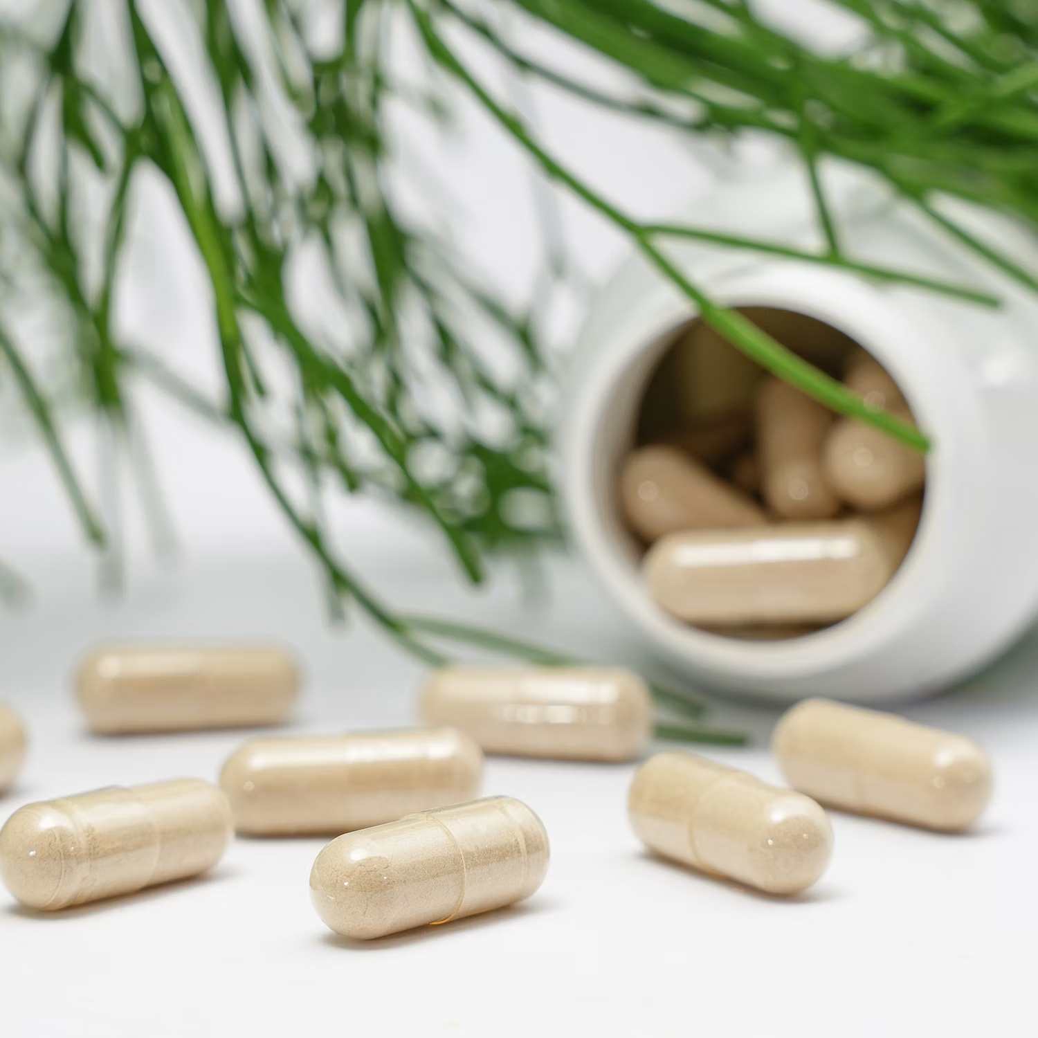 Calcium + Magnesium + D3 + K2: Why You Need All Four for Bone Health