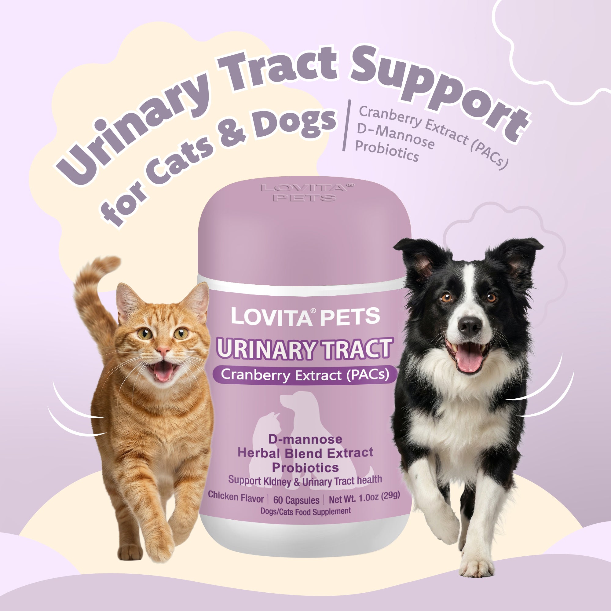 Urinary Tract Health