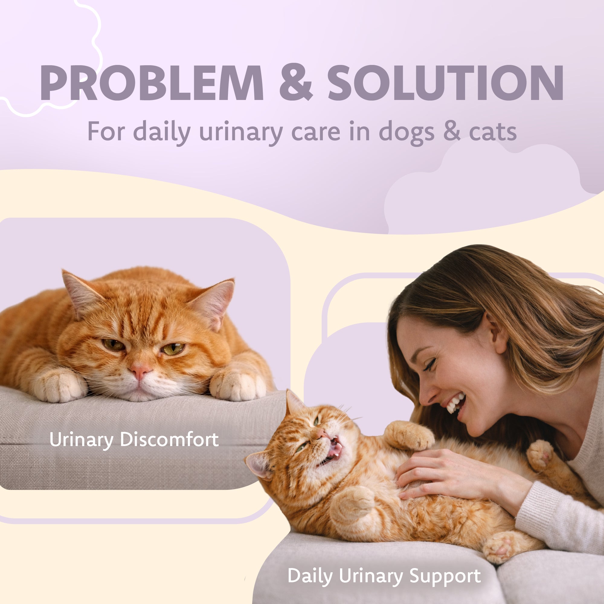 Urinary Tract Health