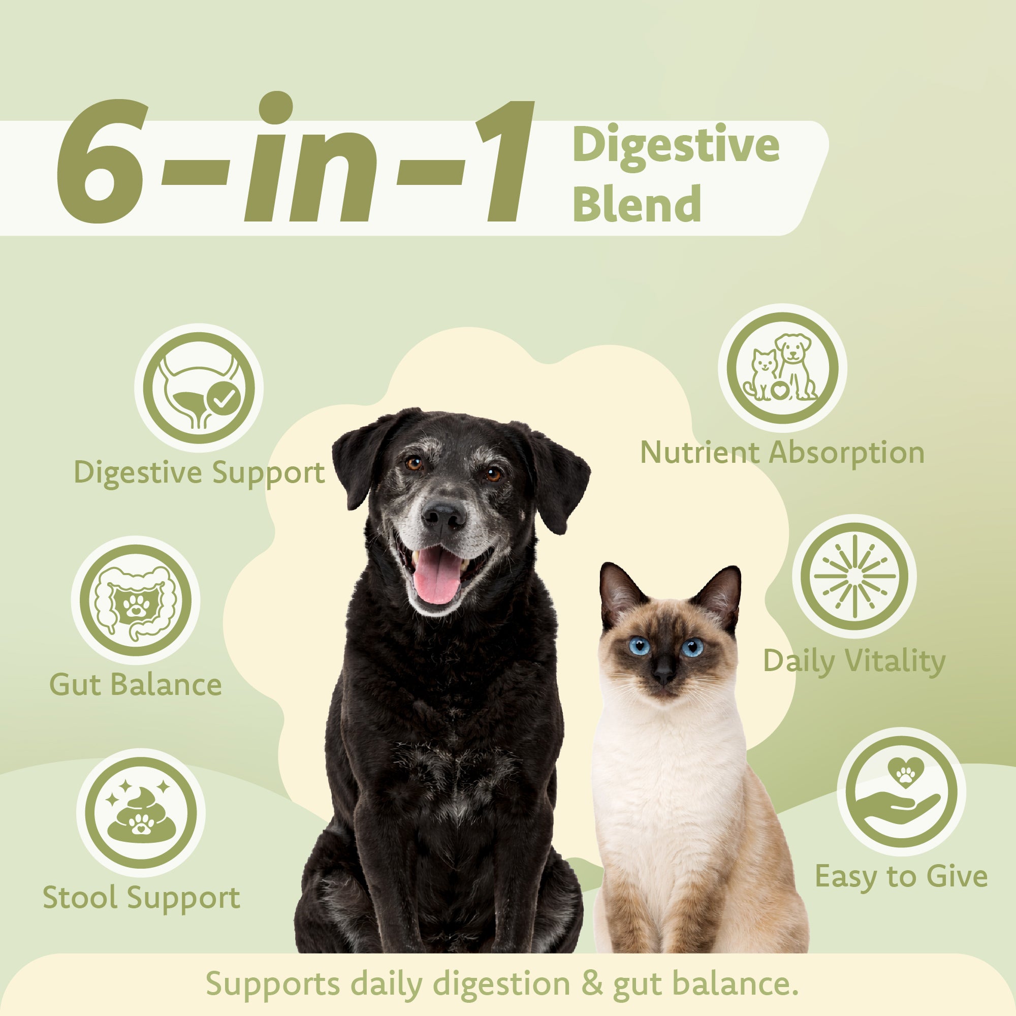 Digestion Health