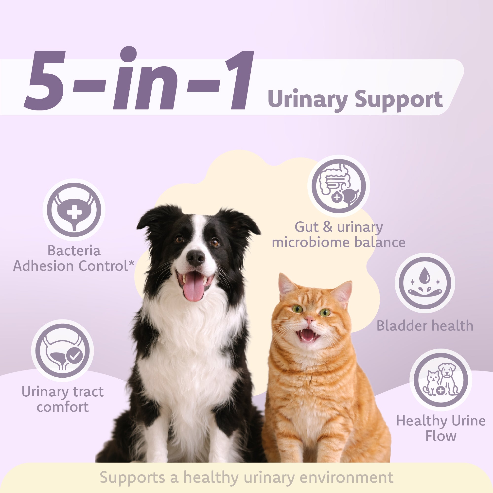 Urinary Tract Health