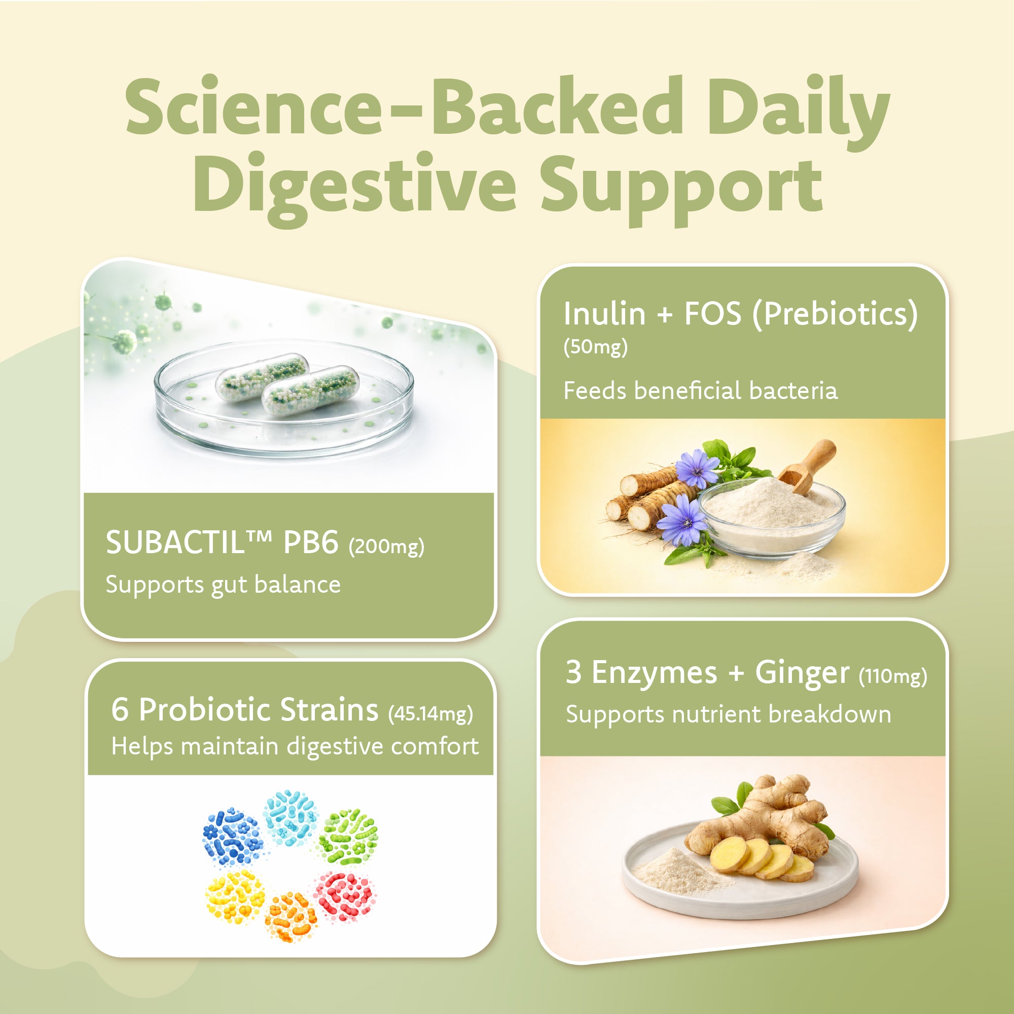 Digestion Health