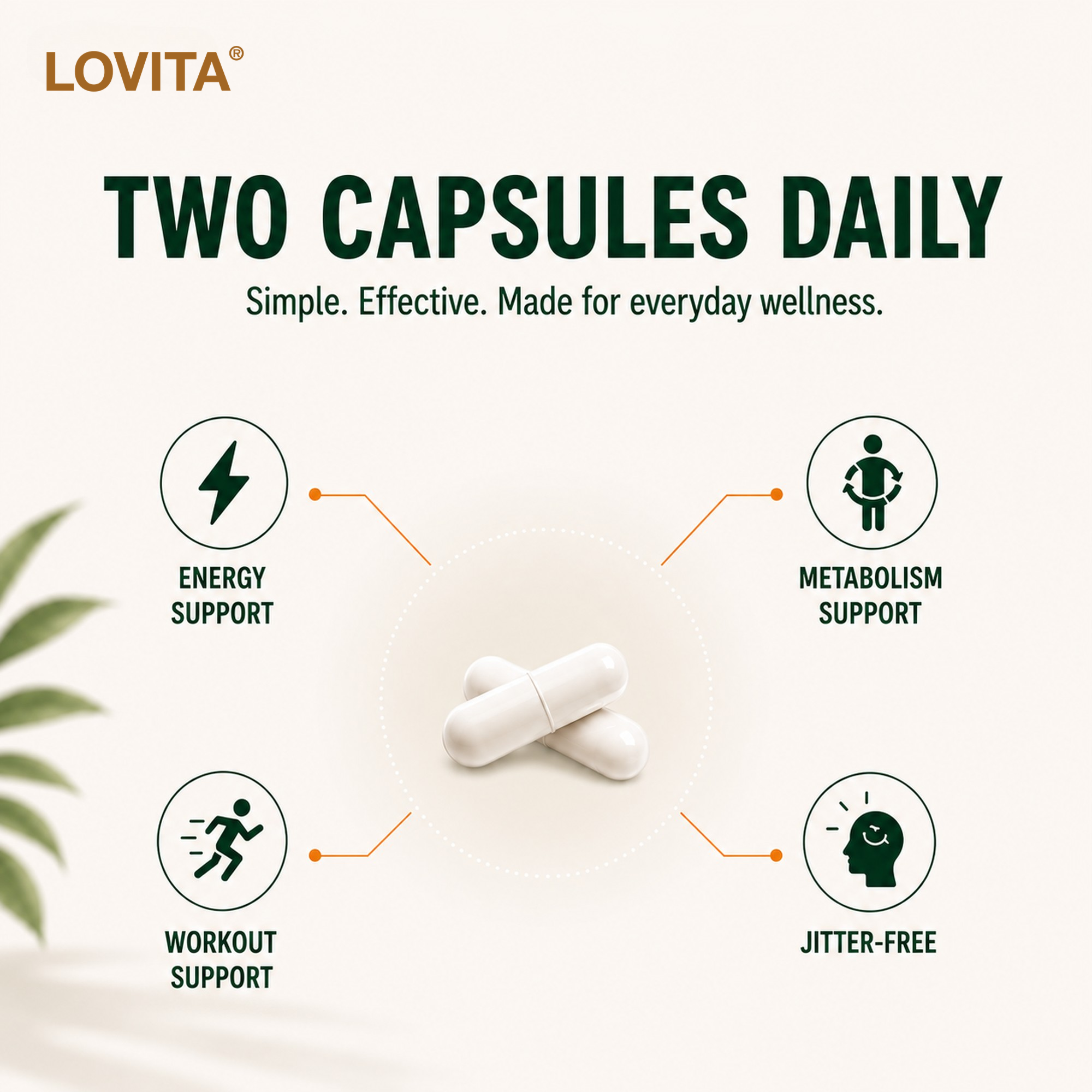 Green Coffee Bean Extract