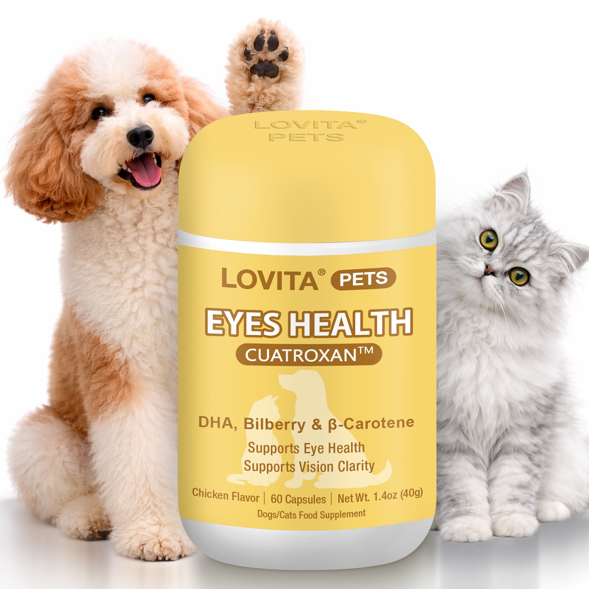 Eyes Health