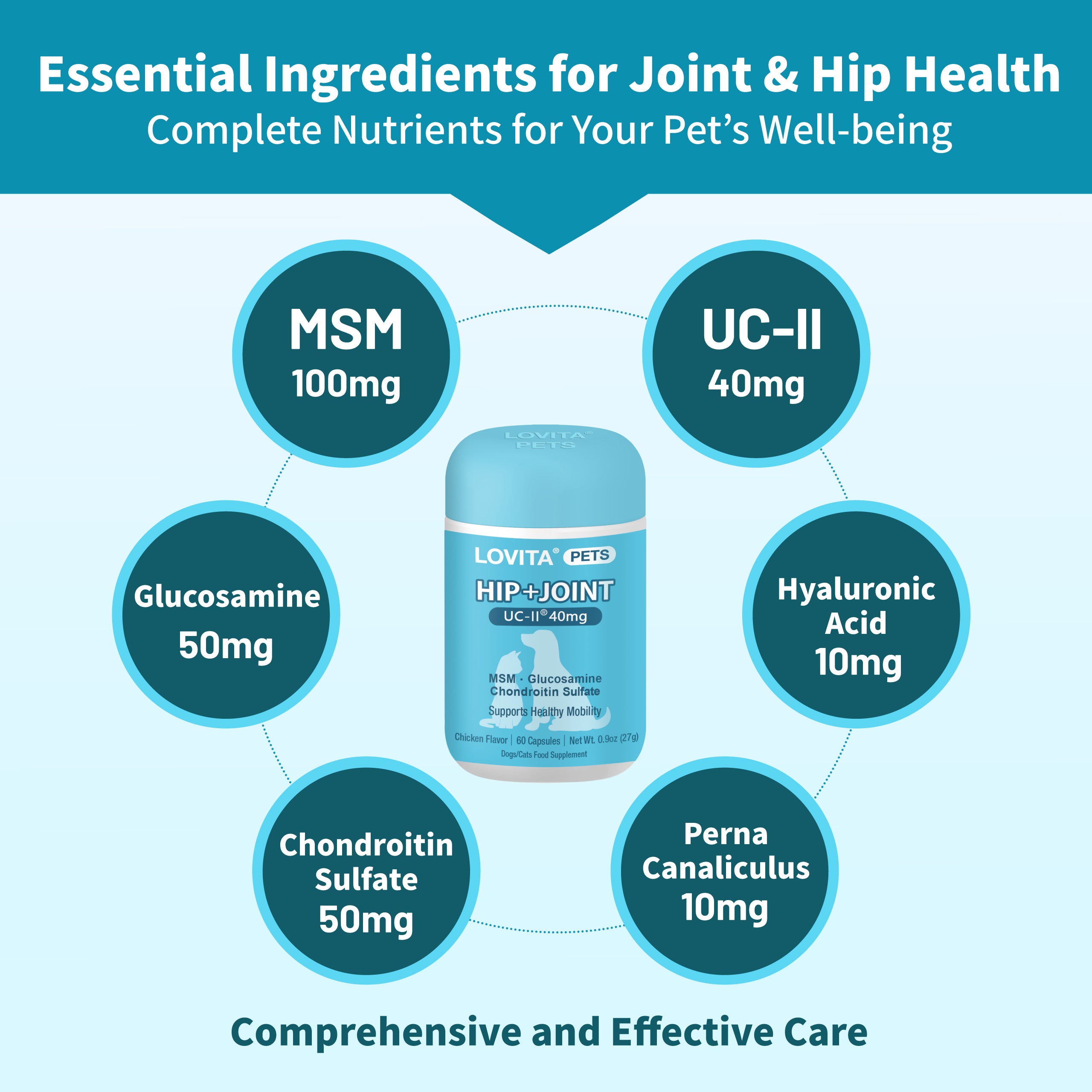 Hip+Joint Health