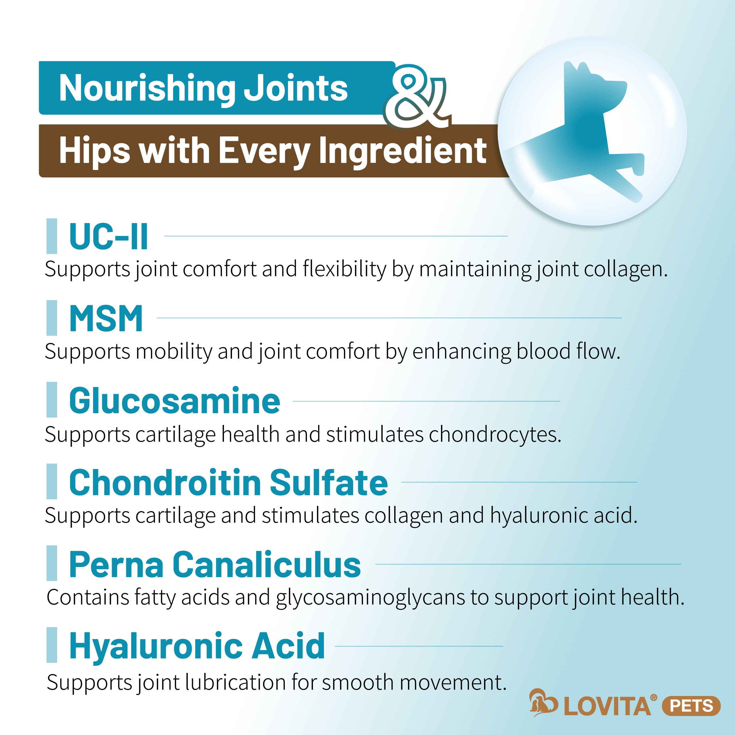 Hip+Joint Health
