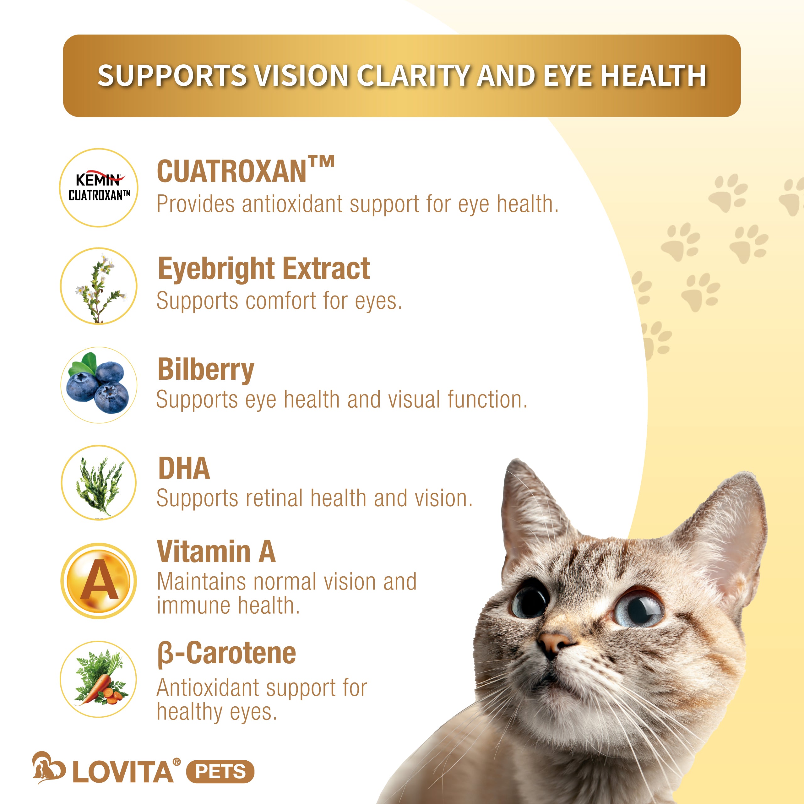 Eyes Health