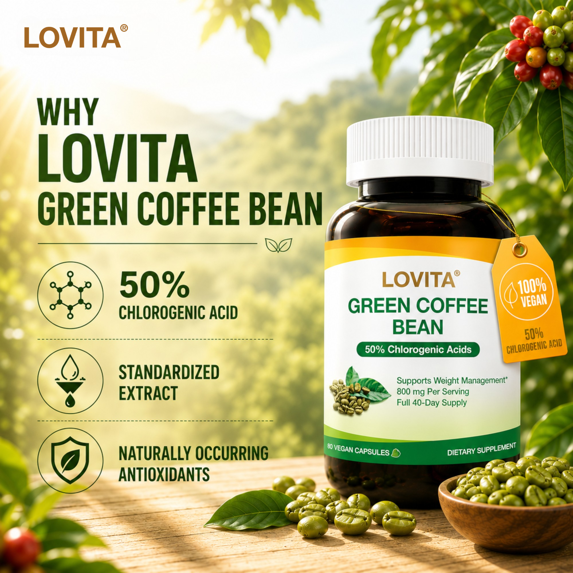 Green Coffee Bean Extract