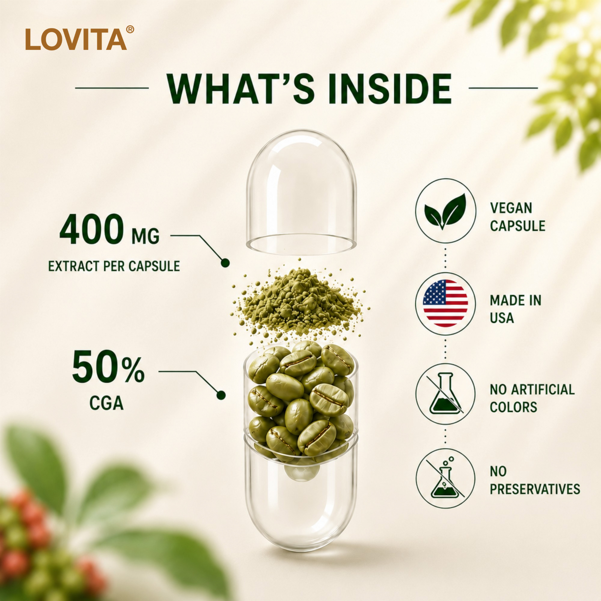 Green Coffee Bean Extract