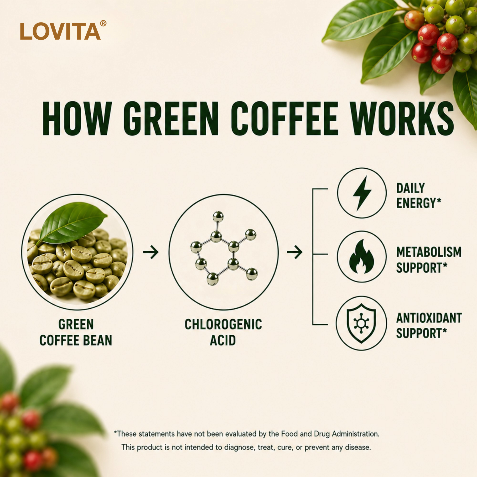 Green Coffee Bean Extract