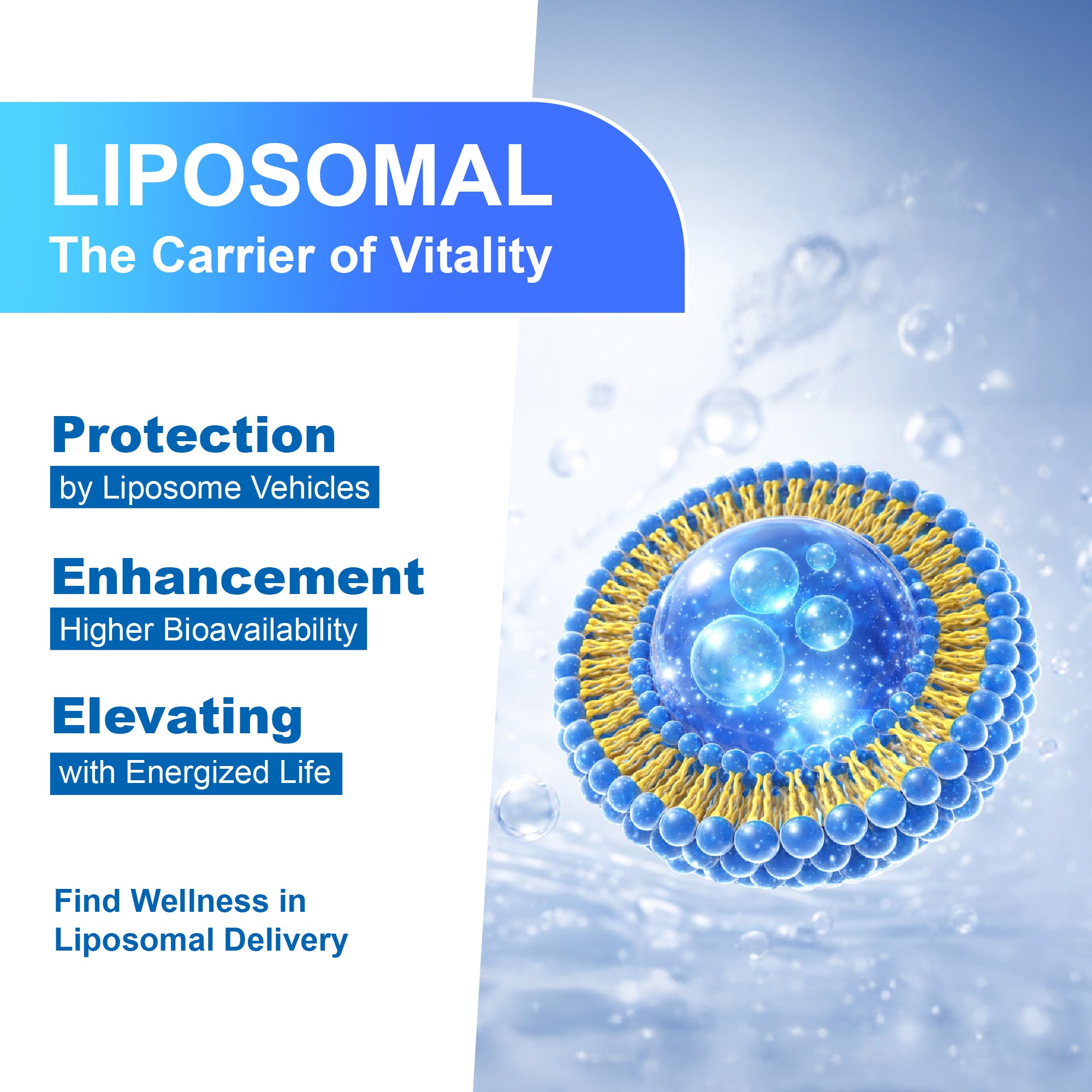 Liposomal NR