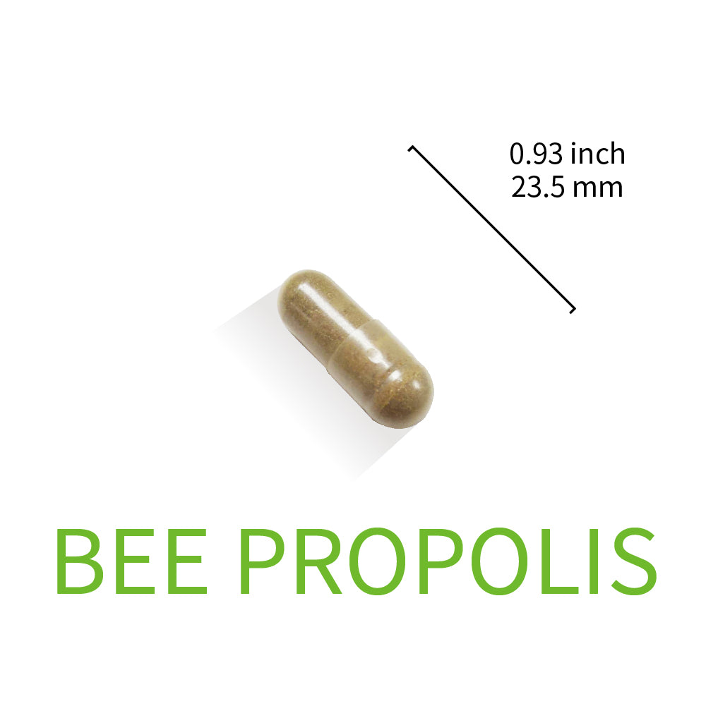 Bee Propolis Capsule 800 mg
