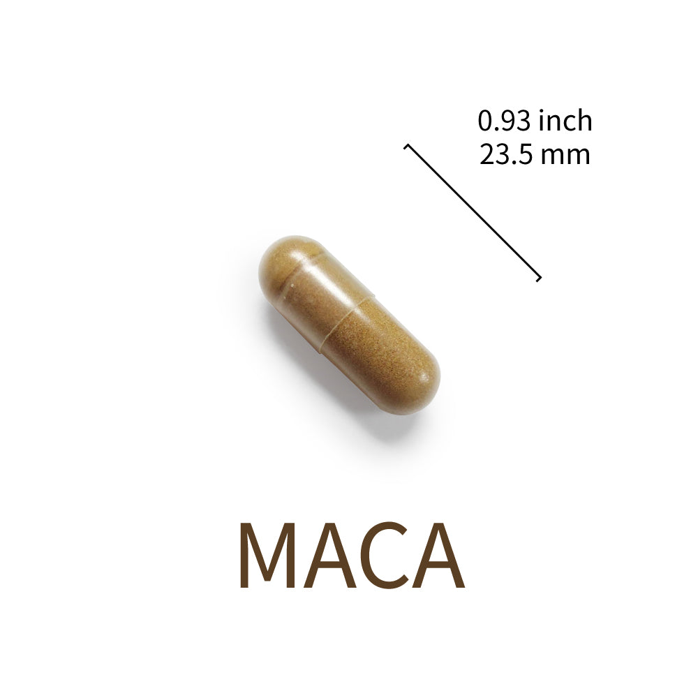 Maca Root Extract 1500 mg Equivalent