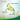 Algae Omega-3